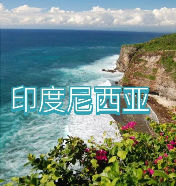 国国际电商(印尼)产业博览会AG真人国际网站2025中(图1)