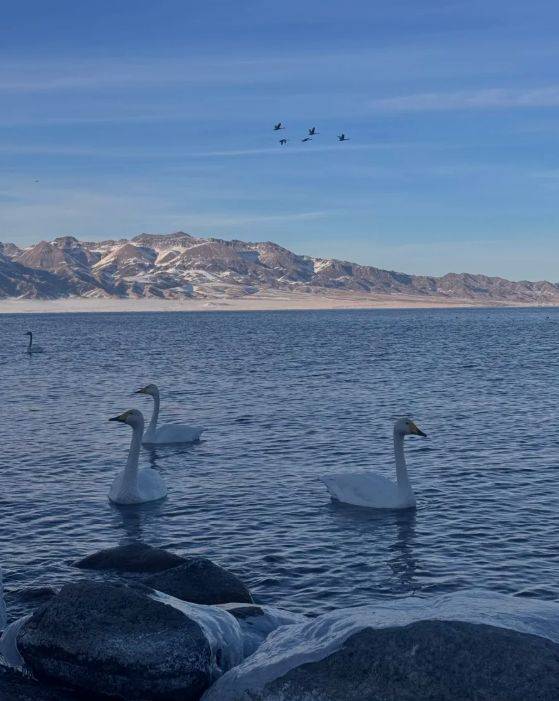 胜游领衔2025新疆高信誉旅行社TOP10AG真人国际网站5000+游客亲测揭晓：远(图2)